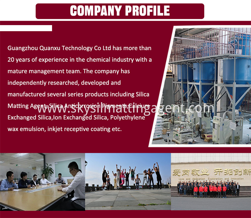 Company Profile